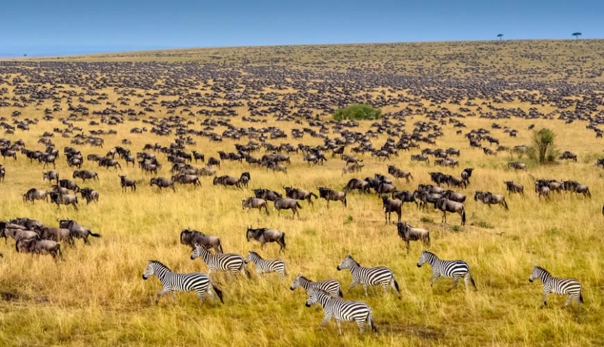 best time to visit masai mara