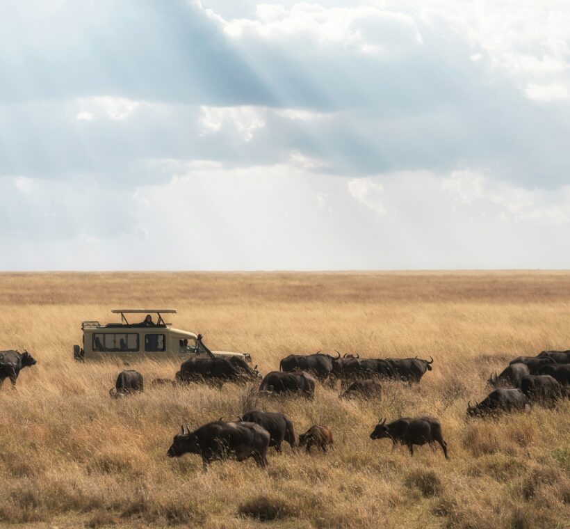 Best Time to Visit Tanzania