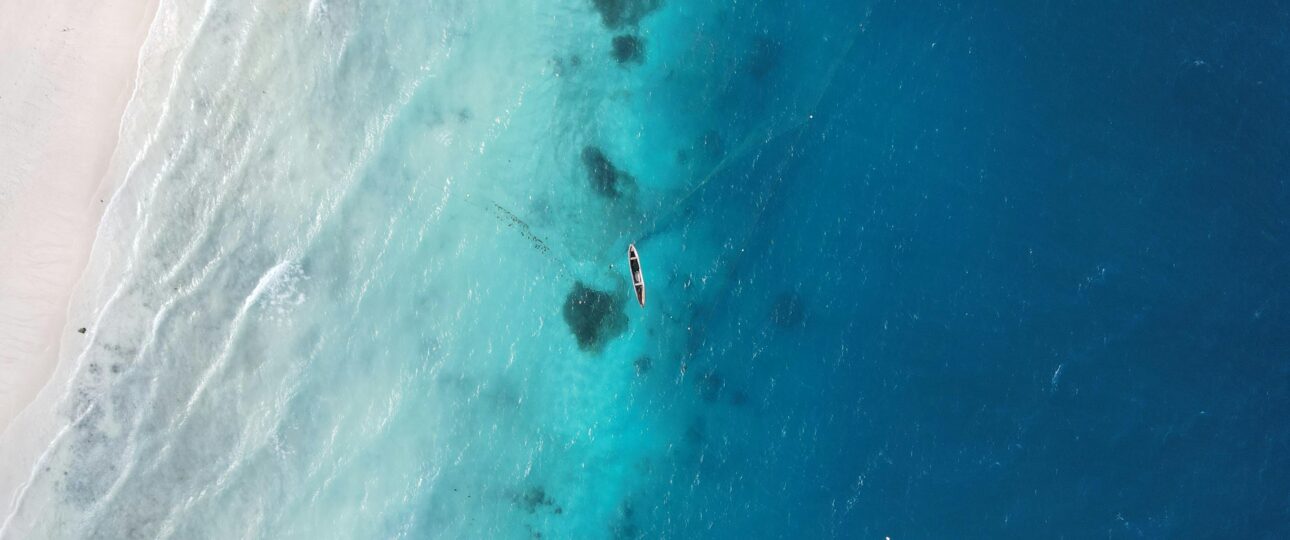 Best Time to Visit Zanzibar: Month-by-Month Guide (+ Safari Tips)