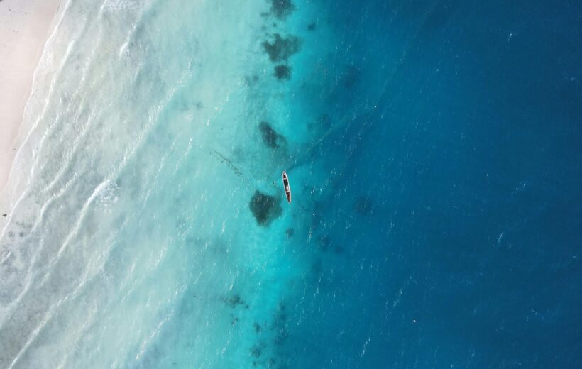 Best Time to Visit Zanzibar: Month-by-Month Guide (+ Safari Tips)