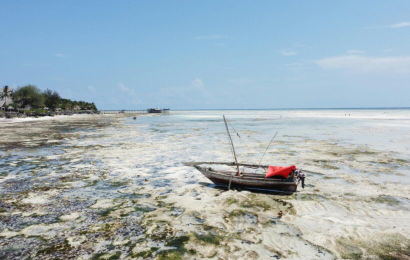 Nungwi Beach Zanzibar