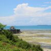 Zanzibar Safari: How to Plan the Ultimate Beach & Bush Combo
