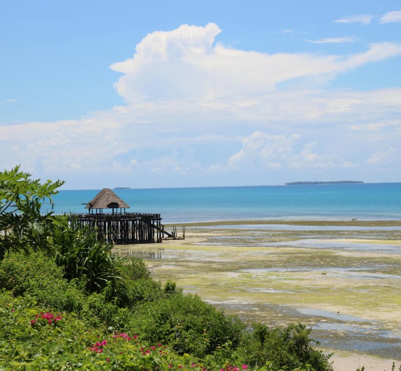 Zanzibar Safari: How to Plan the Ultimate Beach & Bush Combo