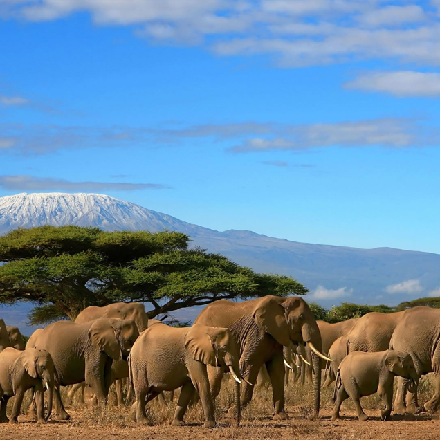 Amboseli