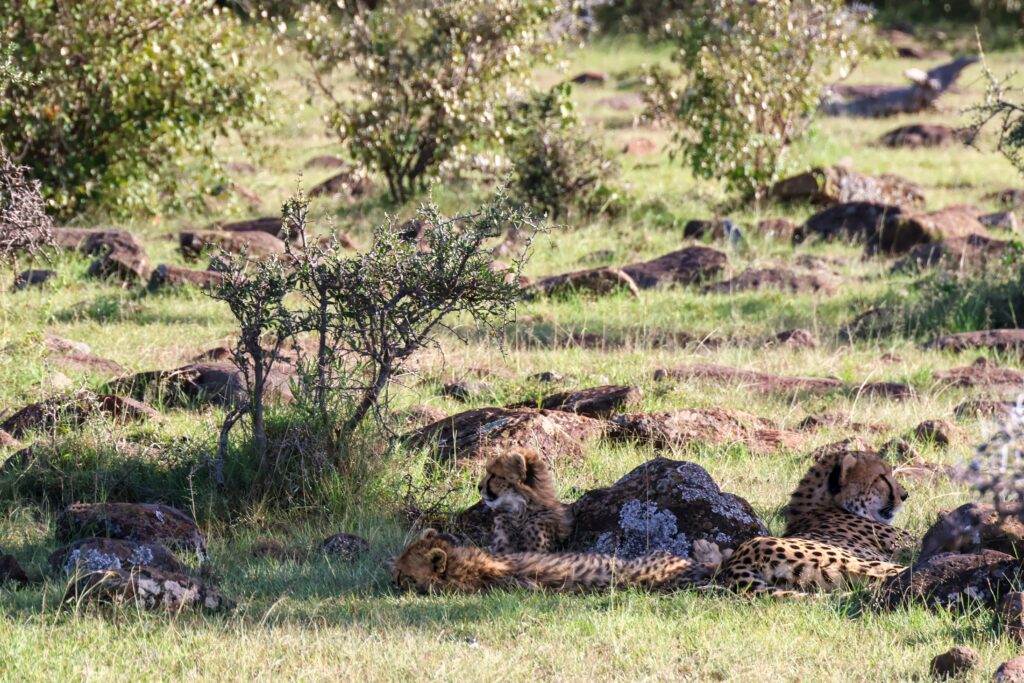 Attractions in Nairobi Kenya