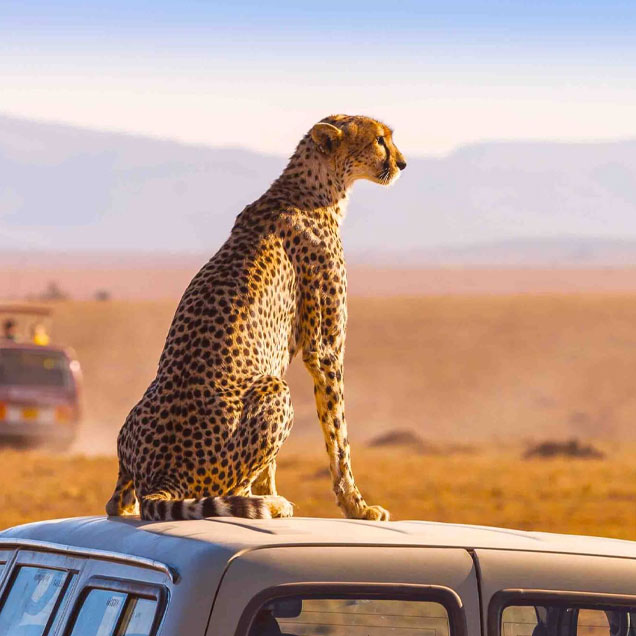 Maasai Mara