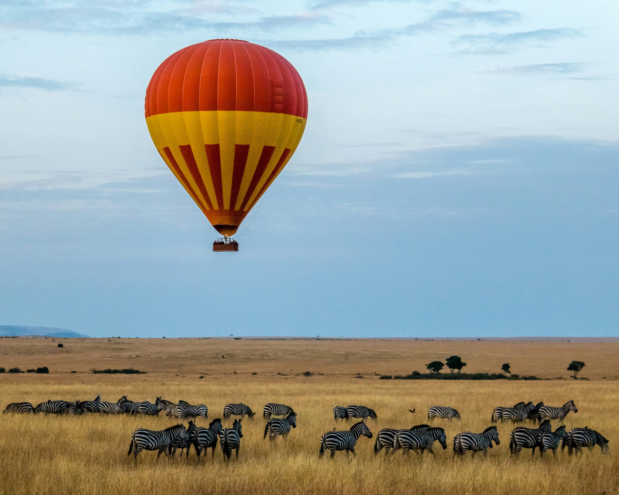 Best Time to Visit Kenya Safari