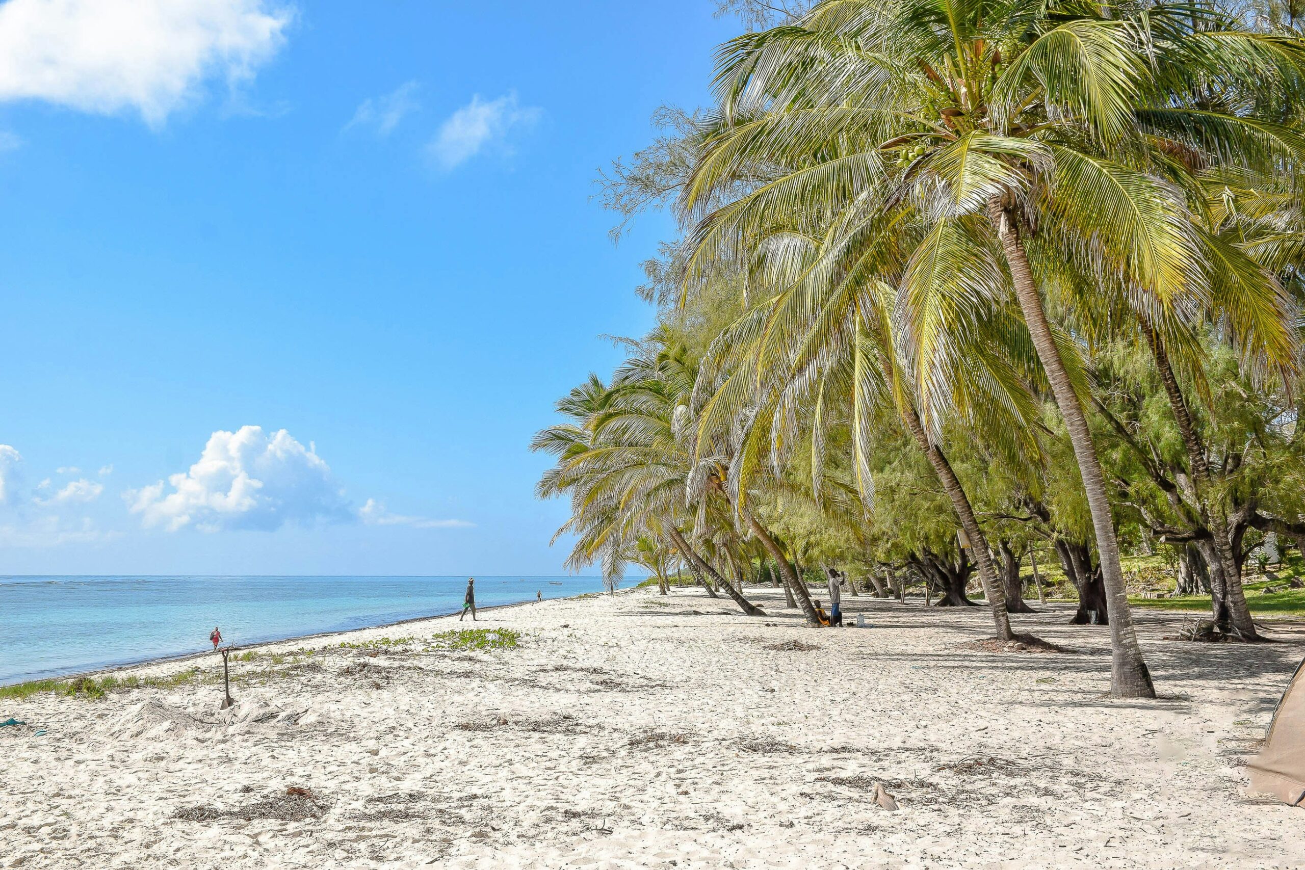 Kenya Beach Mombasa