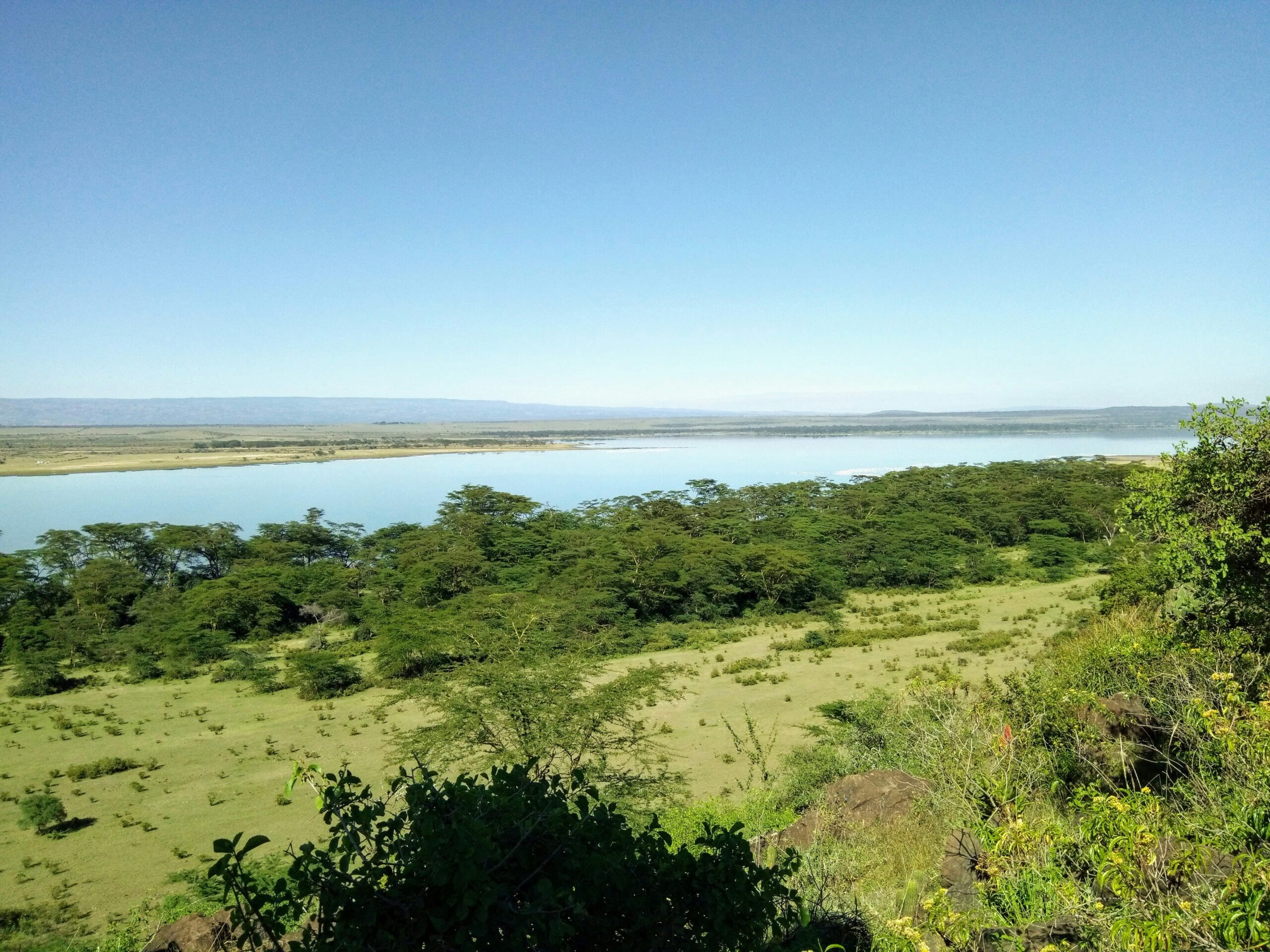 Lake Bogoria Kenya