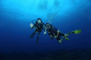 Diving & Snorkelling in Seychelles: Best Sites and Seasons