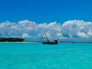Mnemba Island & Zanzibar Diving: Best Reefs & Seasons