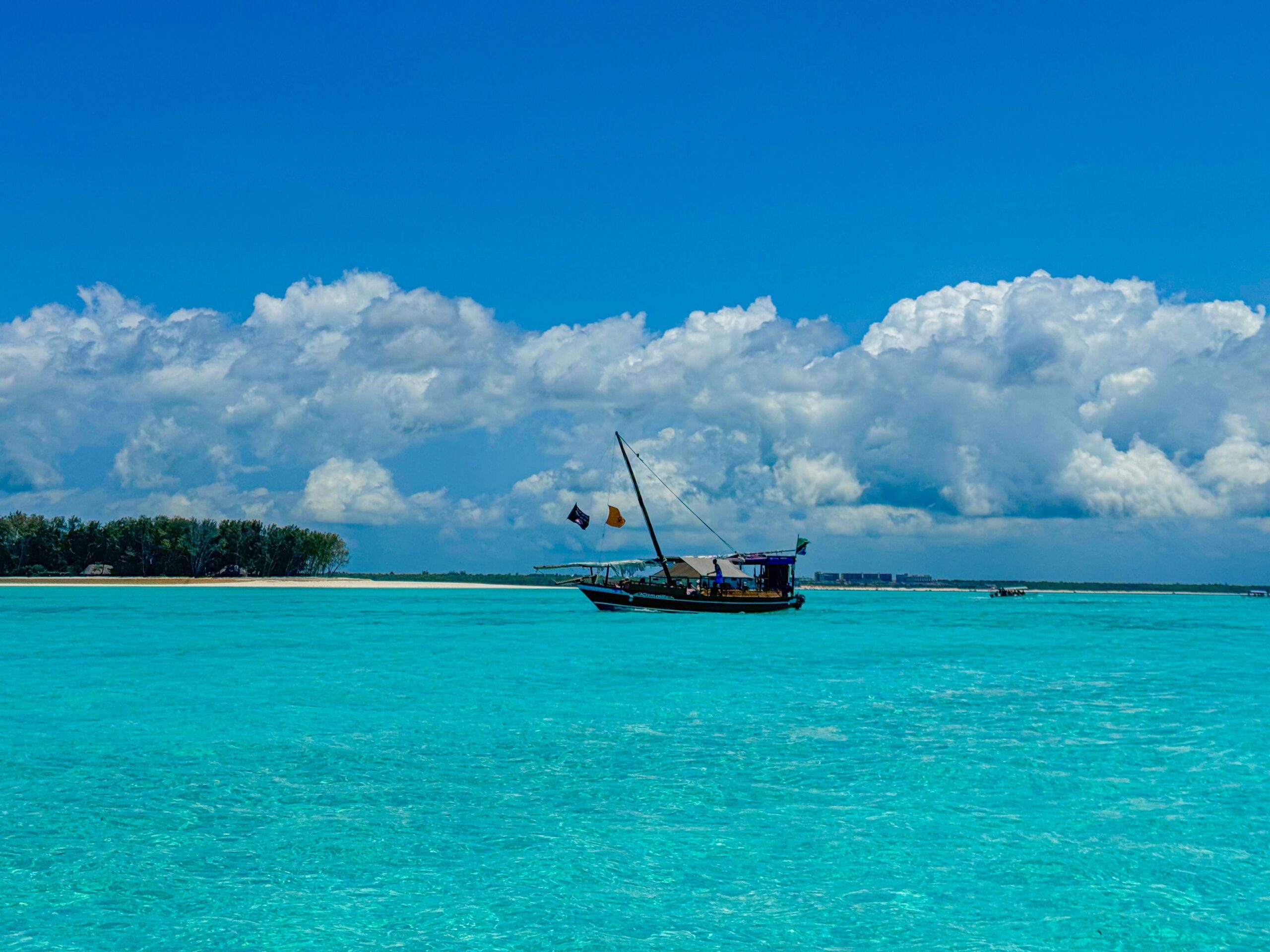 Mnemba Island & Zanzibar Diving: Best Reefs & Seasons