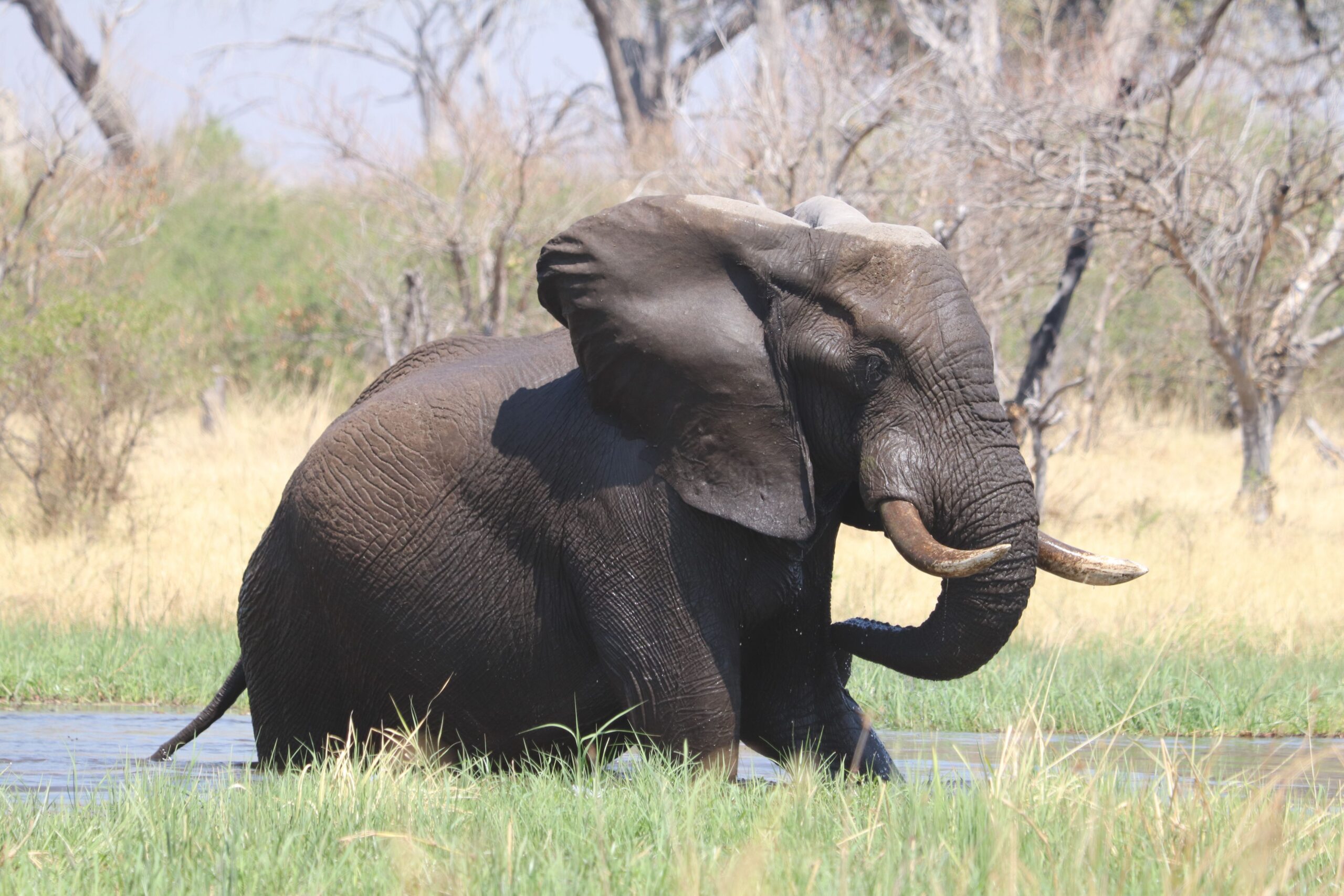 Things to Do in Botswana