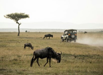 Masai Mara Safari Cost