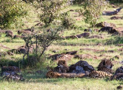 Attractions in Nairobi Kenya
