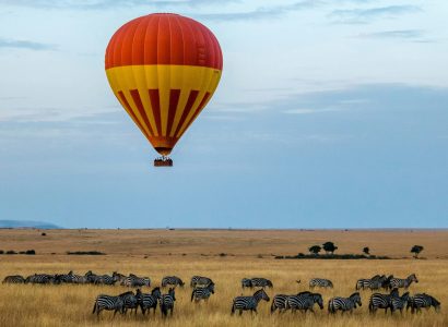 Best Time to Visit Kenya Safari